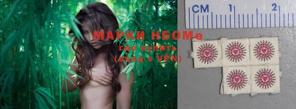 стаф Надым