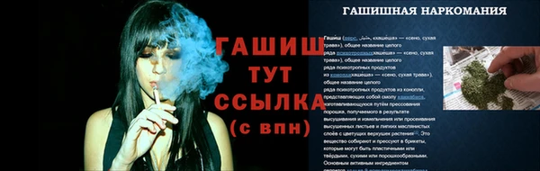 спайс Михайлов