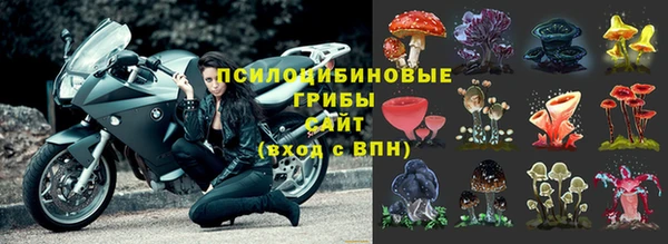 стаф Надым