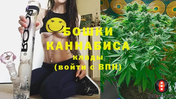 PSILOCYBIN Наволоки