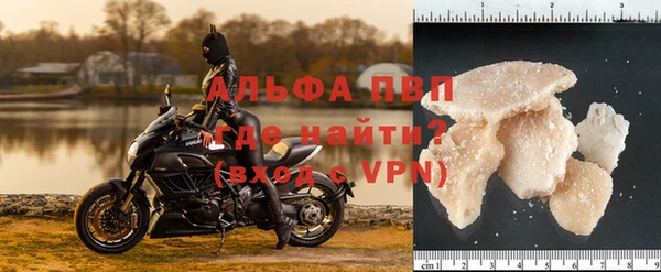 индика Михайловка