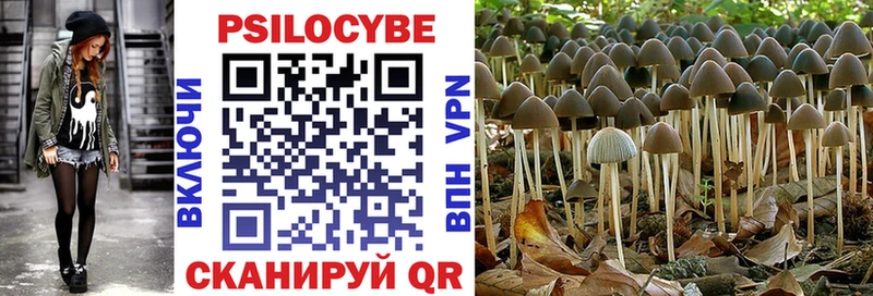 даркнет сайт  Ясногорск  Галлюциногенные грибы MAGIC MUSHROOMS 