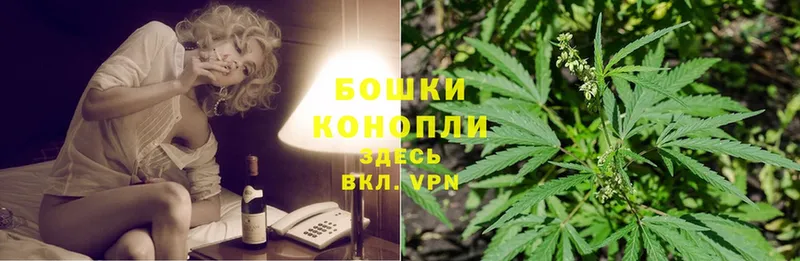 Конопля SATIVA & INDICA  Ясногорск 